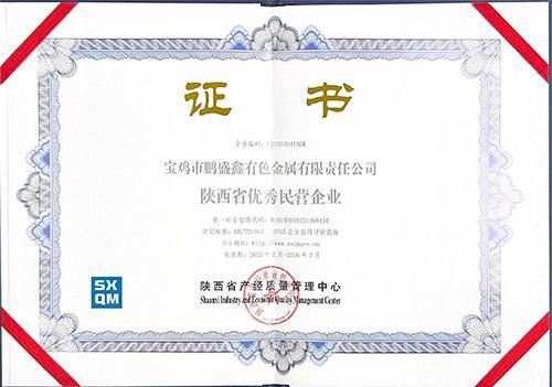陜西省優(yōu)秀民營企業(yè)